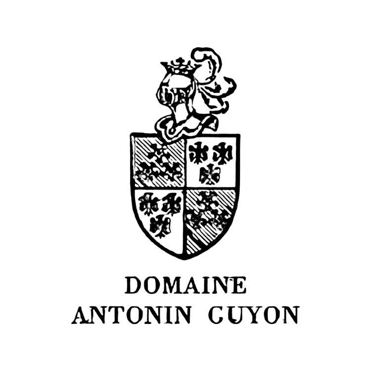 Domaine Antonin Guyon